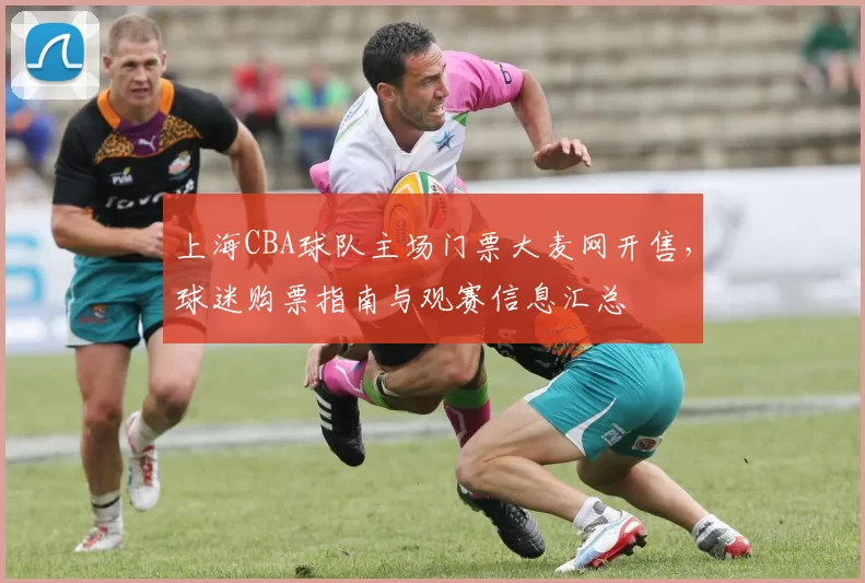 上海CBA球队主场门票大麦网开售，球迷购票指南与观赛信息汇总