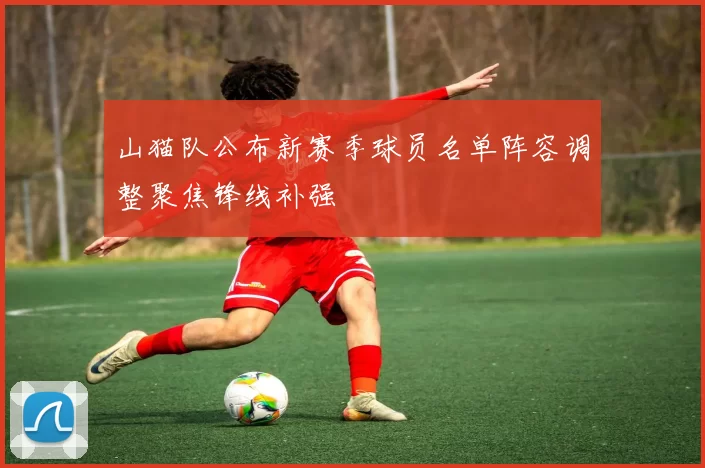 山猫队公布新赛季球员名单阵容调整聚焦锋线补强