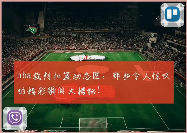 nba裁判扣篮动态图，那些令人惊叹的精彩瞬间大揭秘！