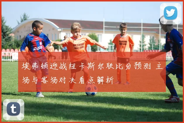 埃弗顿迎战纽卡斯尔联比分预测 主场与客场对决看点解析