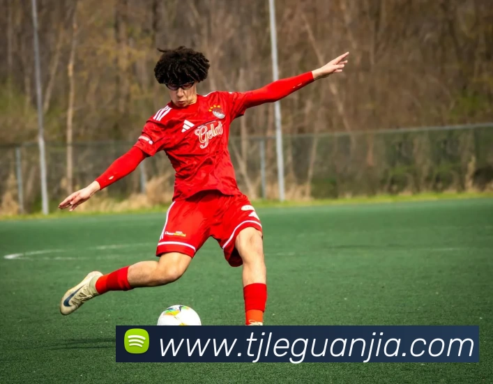 星空在线登录官网发展历程